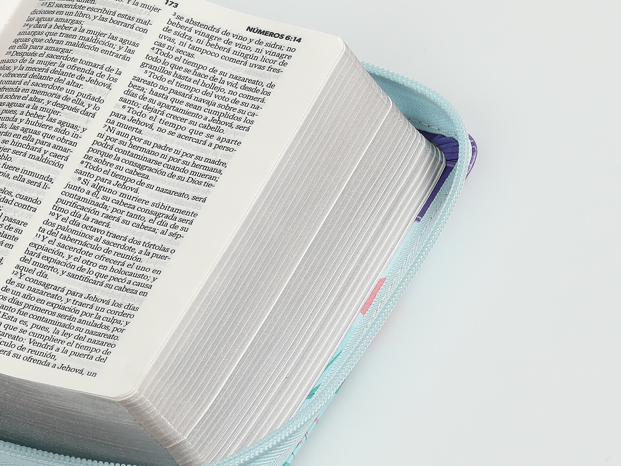 Biblia RVR60 de bolsillo Primor Lila