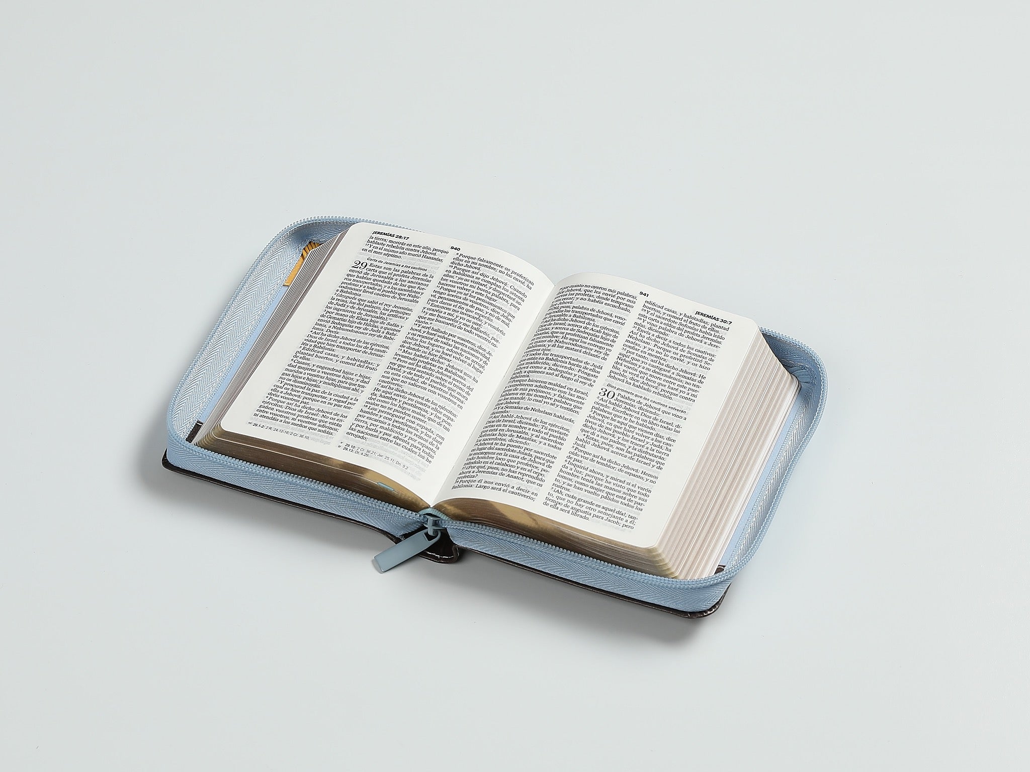 Biblia RVR60 de bolsillo Primor Café