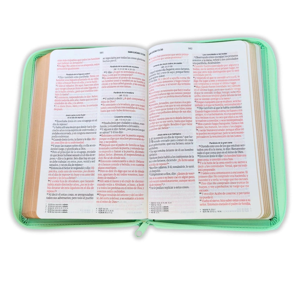 Biblia RVR60 de Obsequios y premios Turquesa Mariposas con cierre