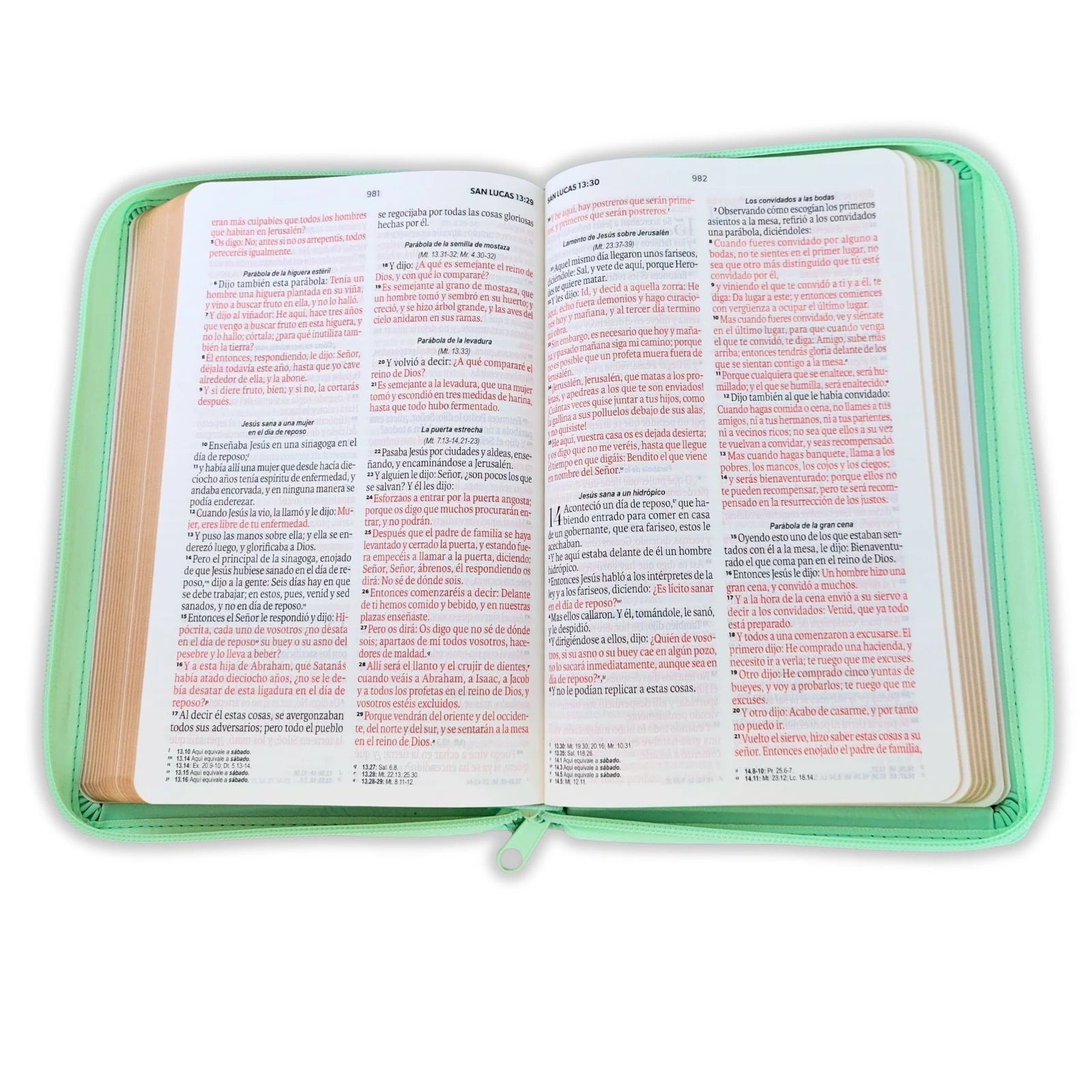 Biblia RVR60 de Obsequios y premios Turquesa Mariposas con cierre