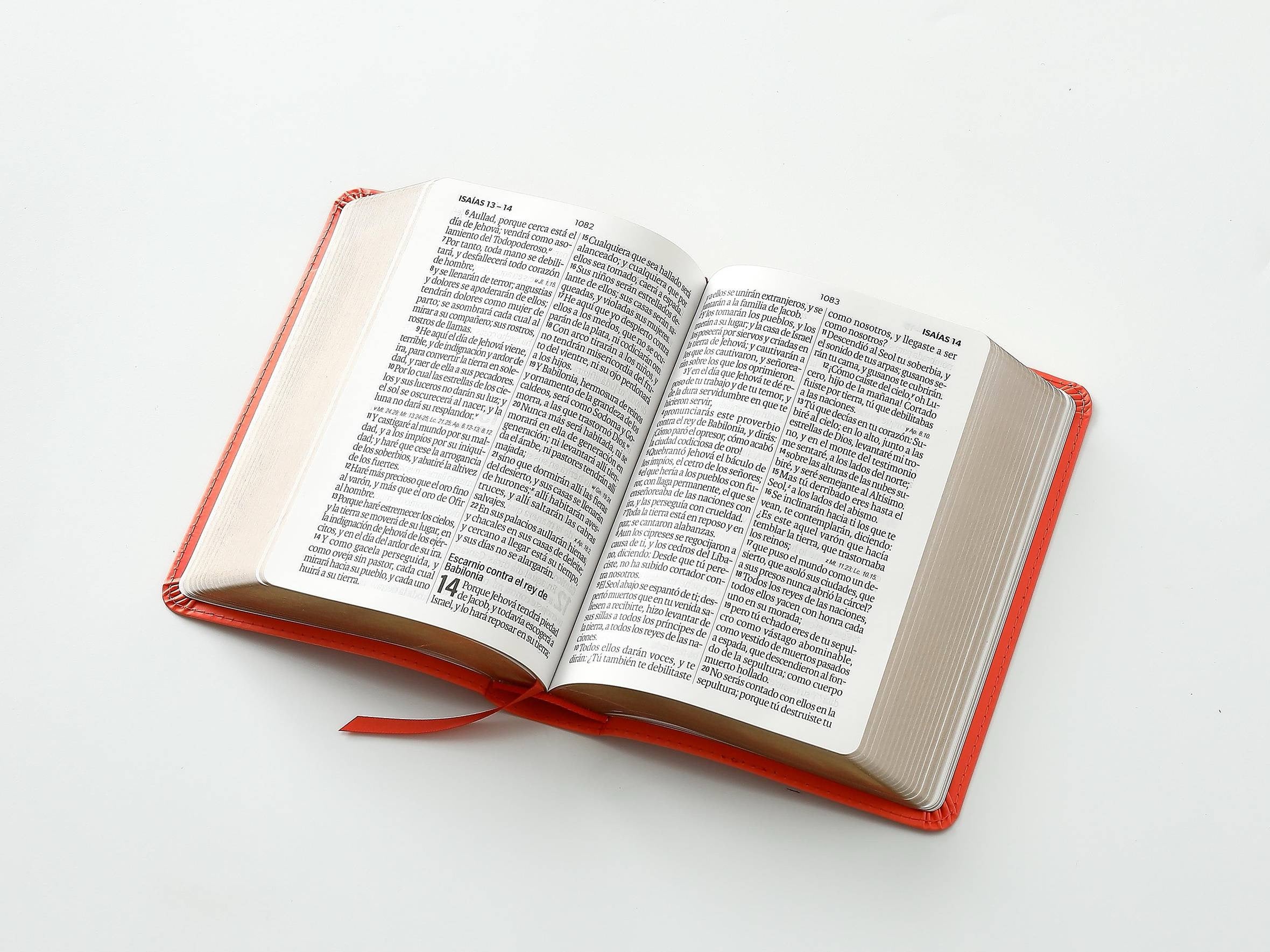Biblia RVR60 tamaño compacto Letra GRande coral