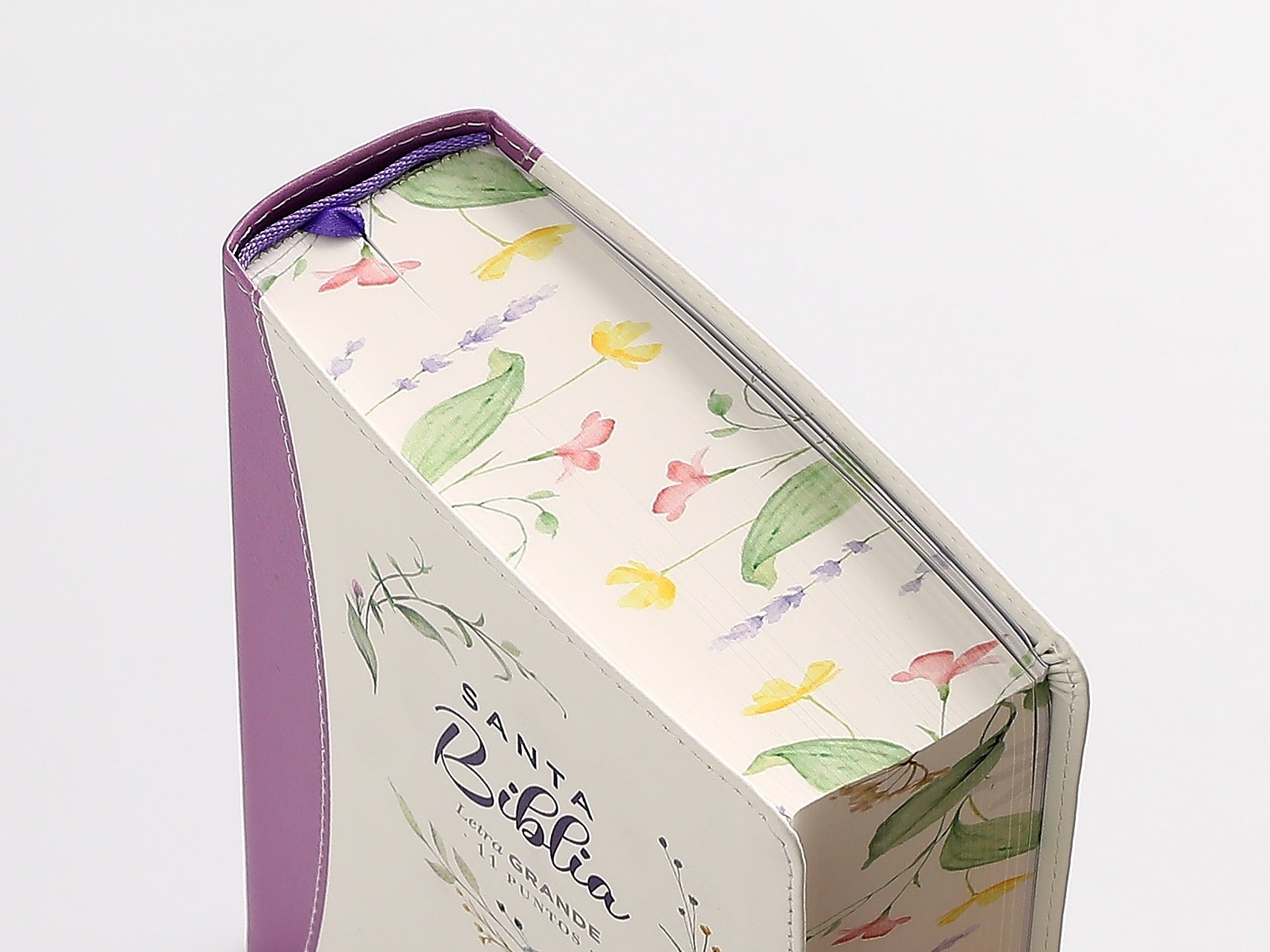 Biblia RVR60 portátil Letra Grande 11 puntos lila