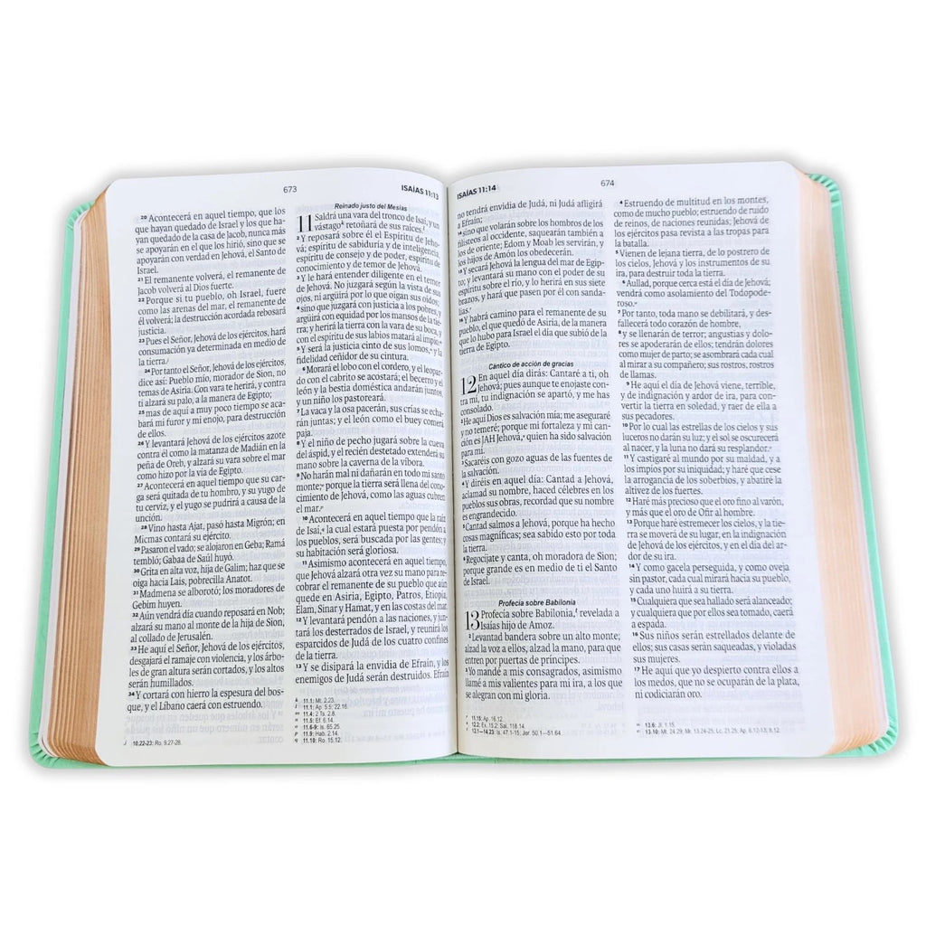 Biblia RVR60 de Obsequios y premios Turquesa Mariposas con cierre