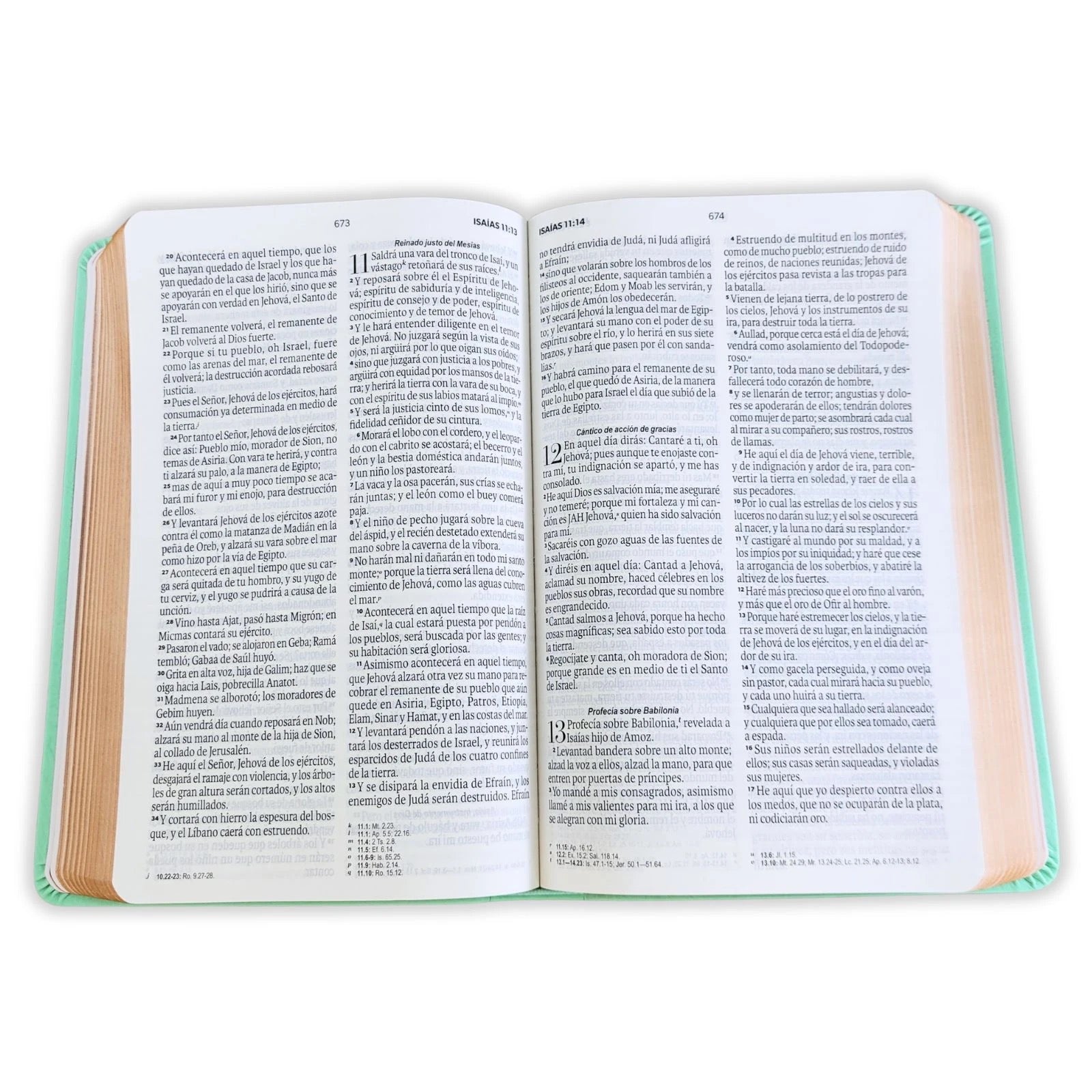 Biblia RVR60 de Obsequios y premios Turquesa Mariposas con cierre