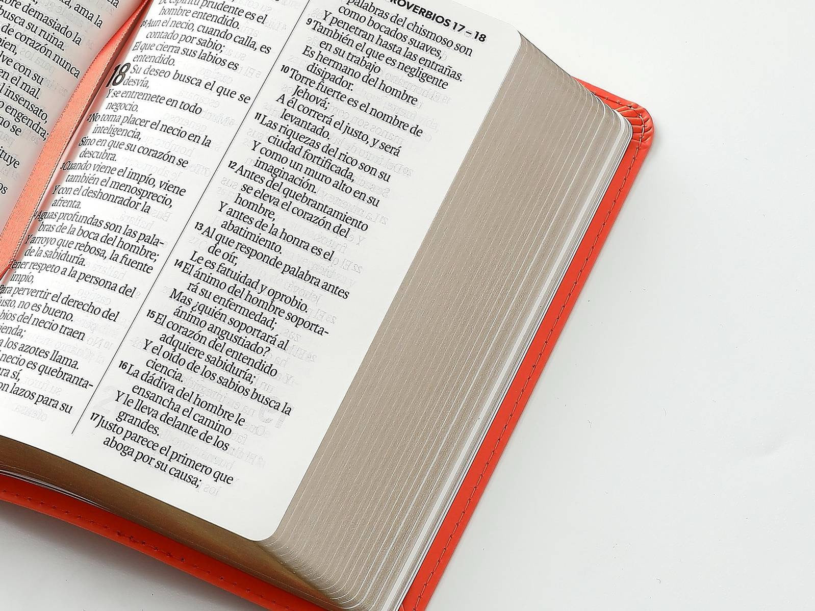 Biblia RVR60 tamaño compacto Letra GRande coral