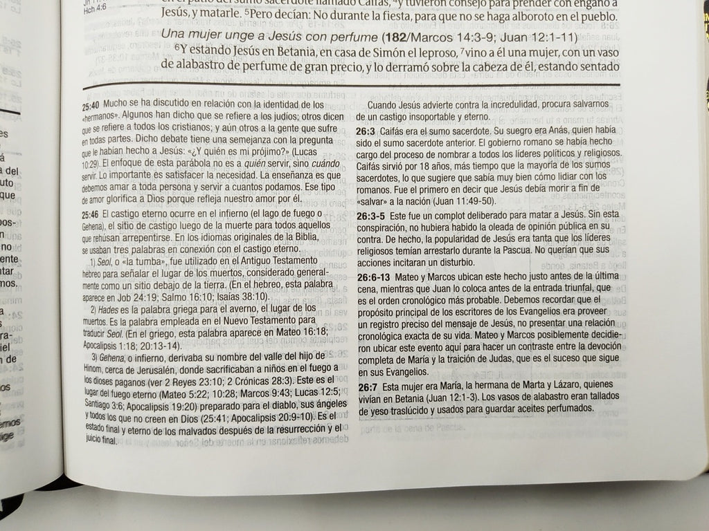 Biblia de estudio Diario Vivir RVR60 Piel Italiana Dos Tonos Marrón/Café con índice