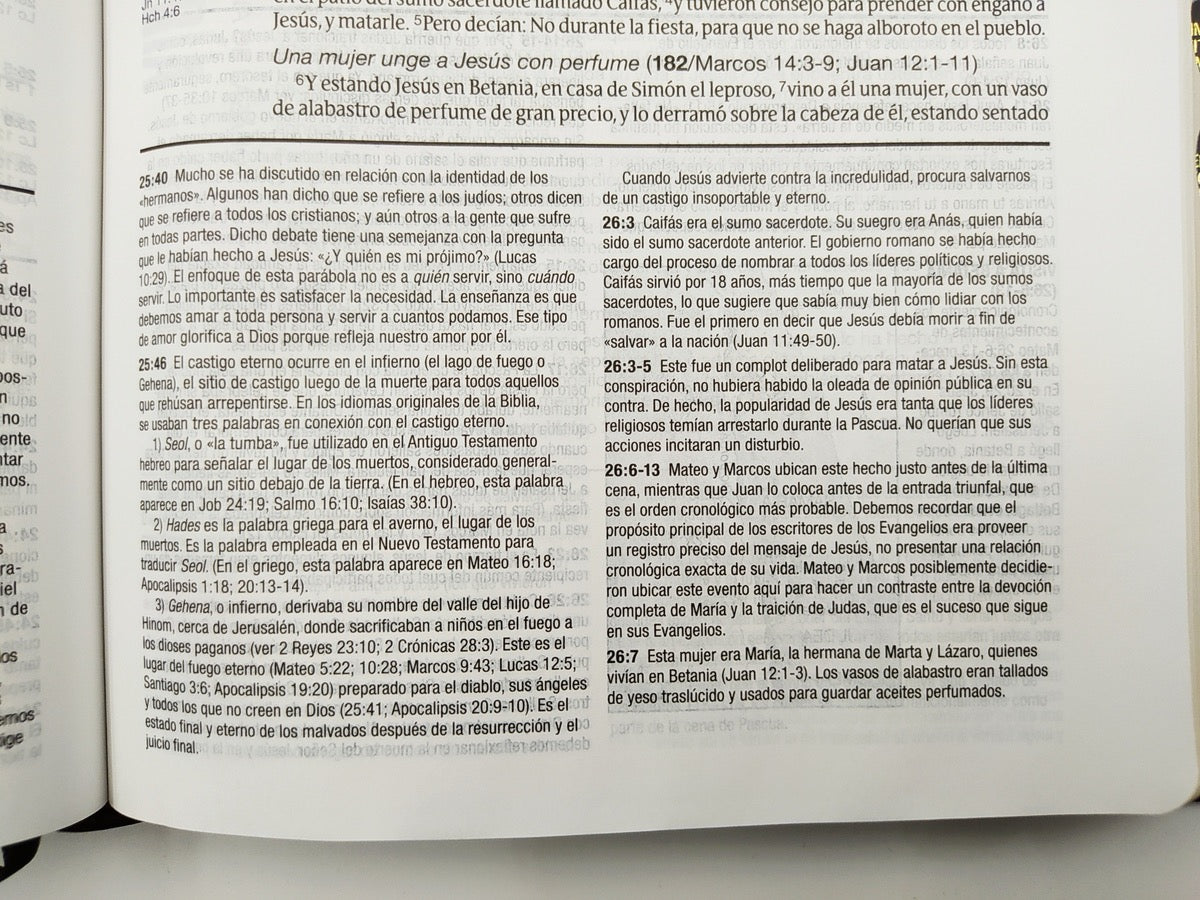 Biblia de estudio Diario Vivir RVR60 Piel Italiana Dos Tonos Marrón/Café con índice