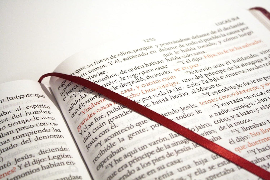 Biblia RVR 1909 Letra Súper Gigante Símil Piel Vinotinto