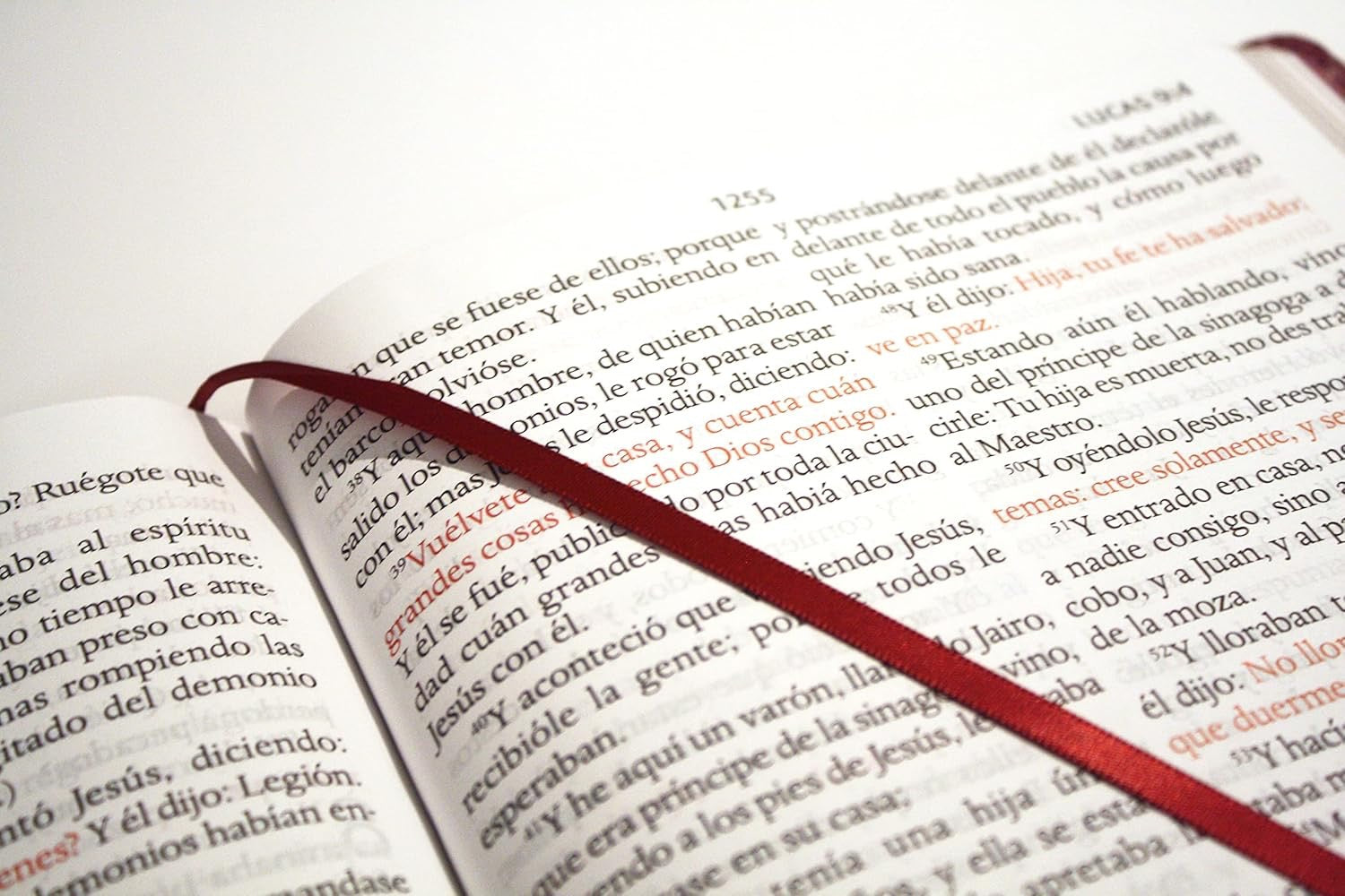 Biblia RVR 1960 Súper Gigante Negro Símil Piel con Índice