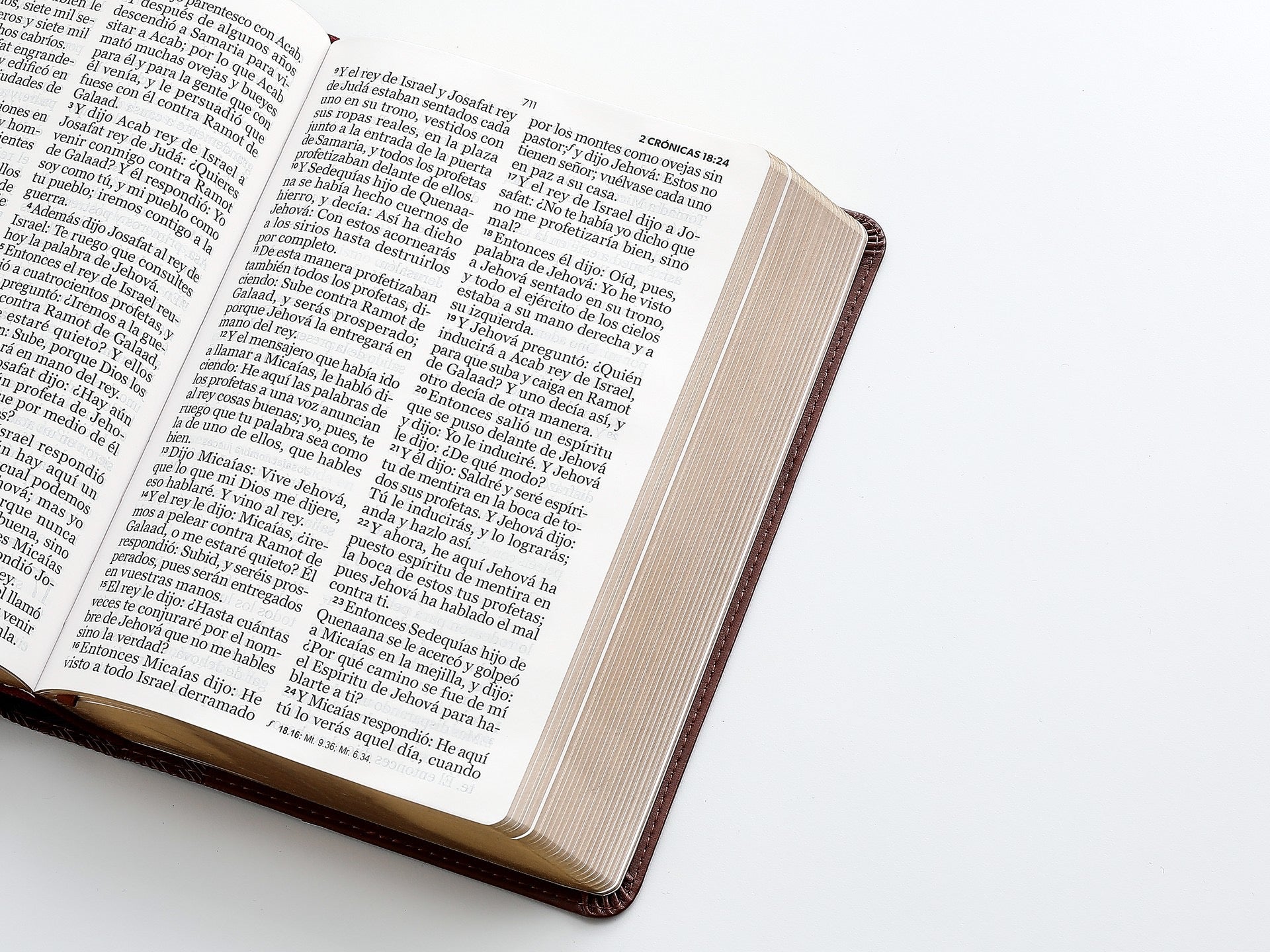 Biblia RVR60 Tamaño manual letra GIgante marron
