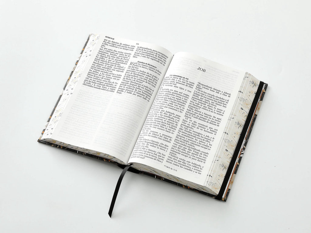 Biblia RVR60 Tamaño manual LEtra GRande TApa dura NEGRA