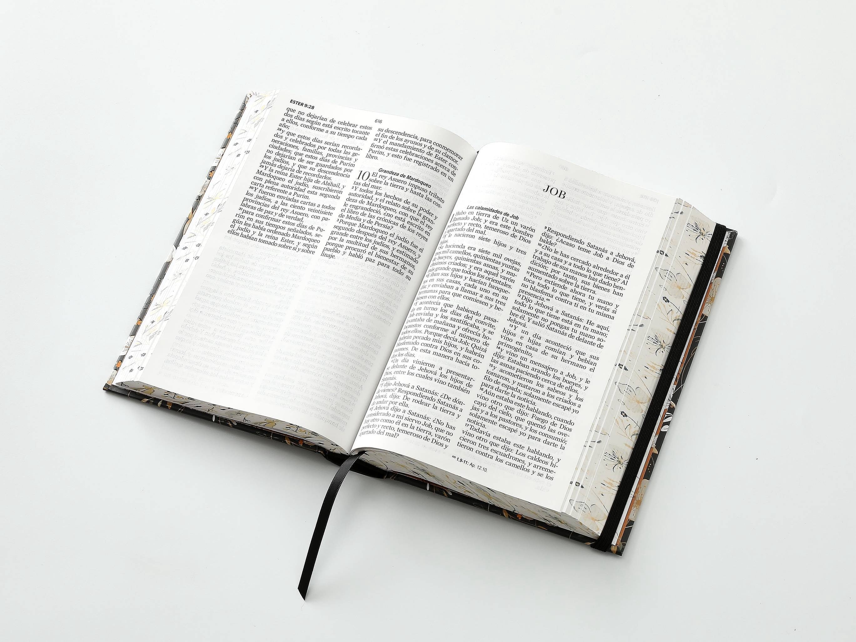 Biblia RVR60 Tamaño manual LEtra GRande TApa dura NEGRA