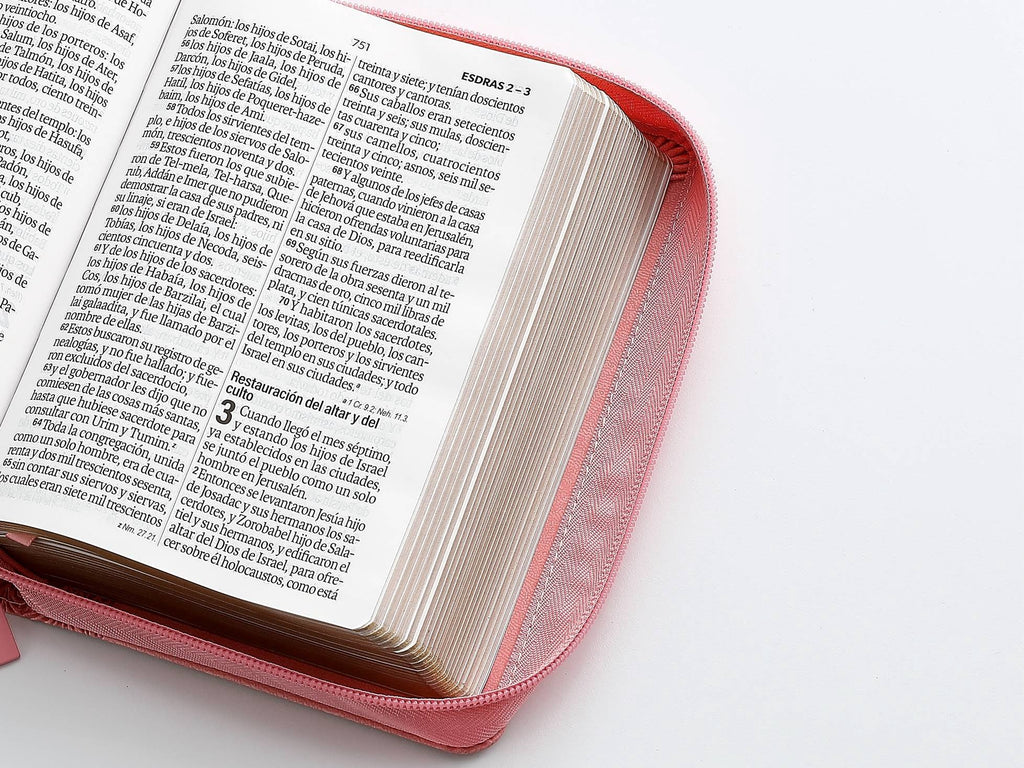 Biblia RVR60 Tamaño compacto Letra Grande 12 puntos