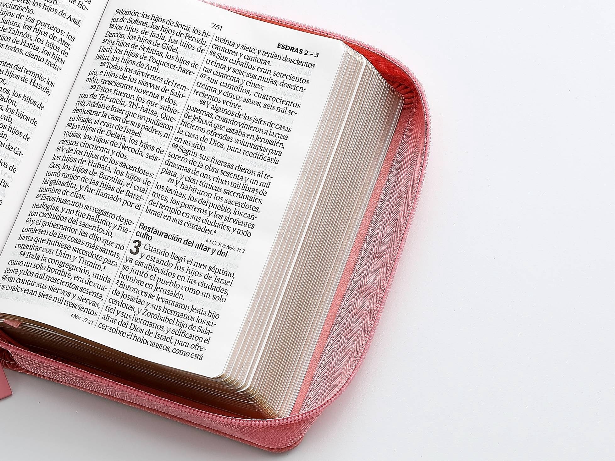 Biblia RVR60 Tamaño compacto Letra Grande 12 puntos