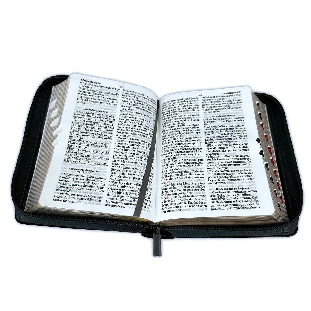 Biblia RVR60 portátil Letra Grande 11 puntos con cierre