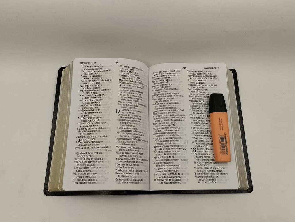 Biblia RVR 1960 Letra Grande Tamaño Manual Piel Fabricada Negro
