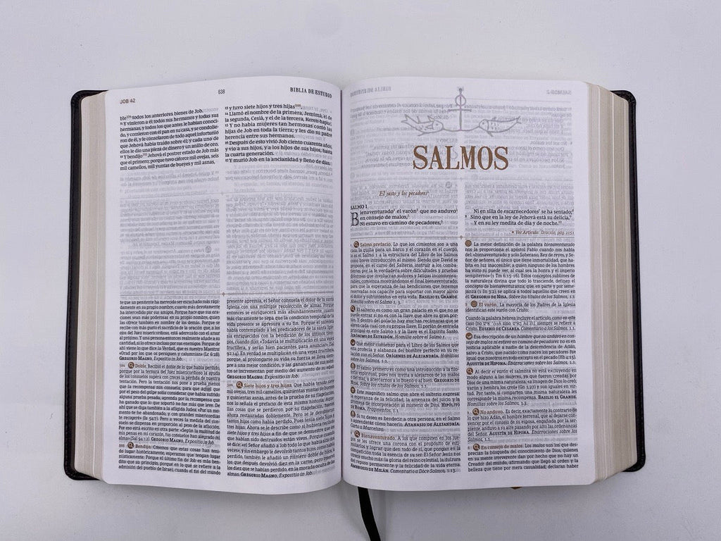 Biblia de Estudio Patrística café