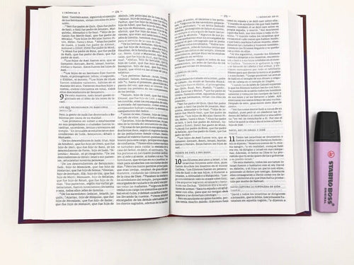 Biblia DHH tamaño Manual Granate