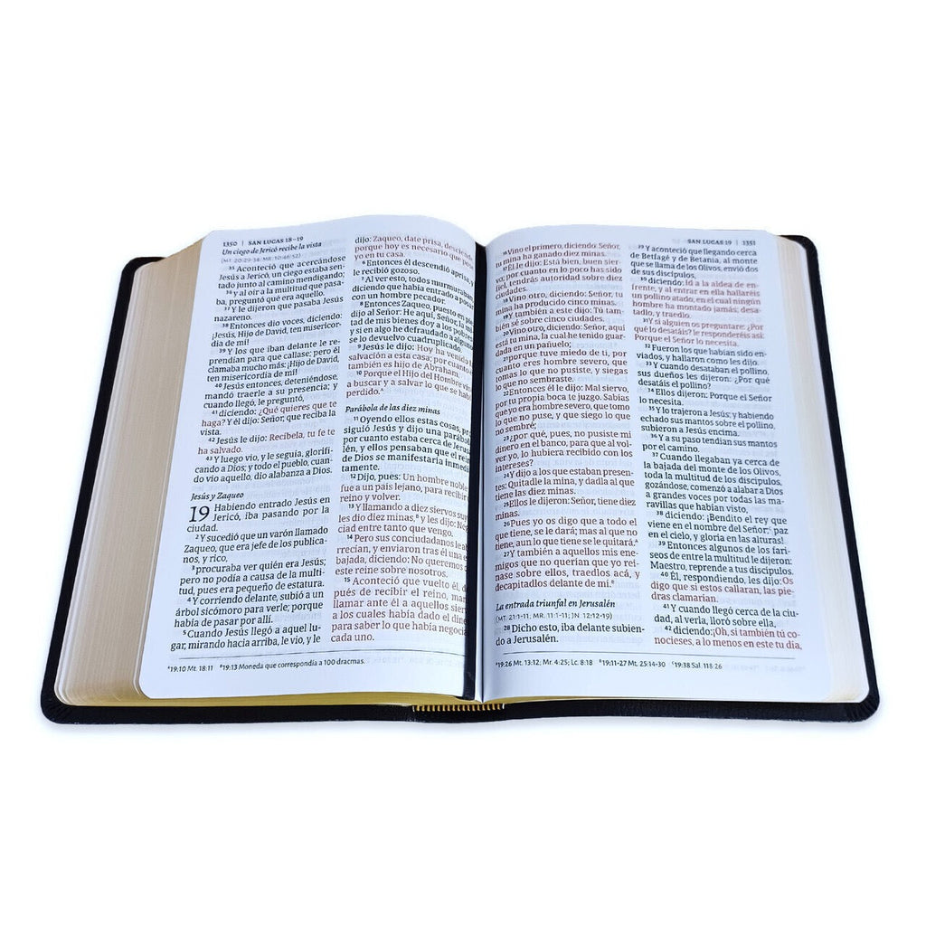 Biblia RVR 1960 Letra Grande Tamaño Manual Símil Piel Negra