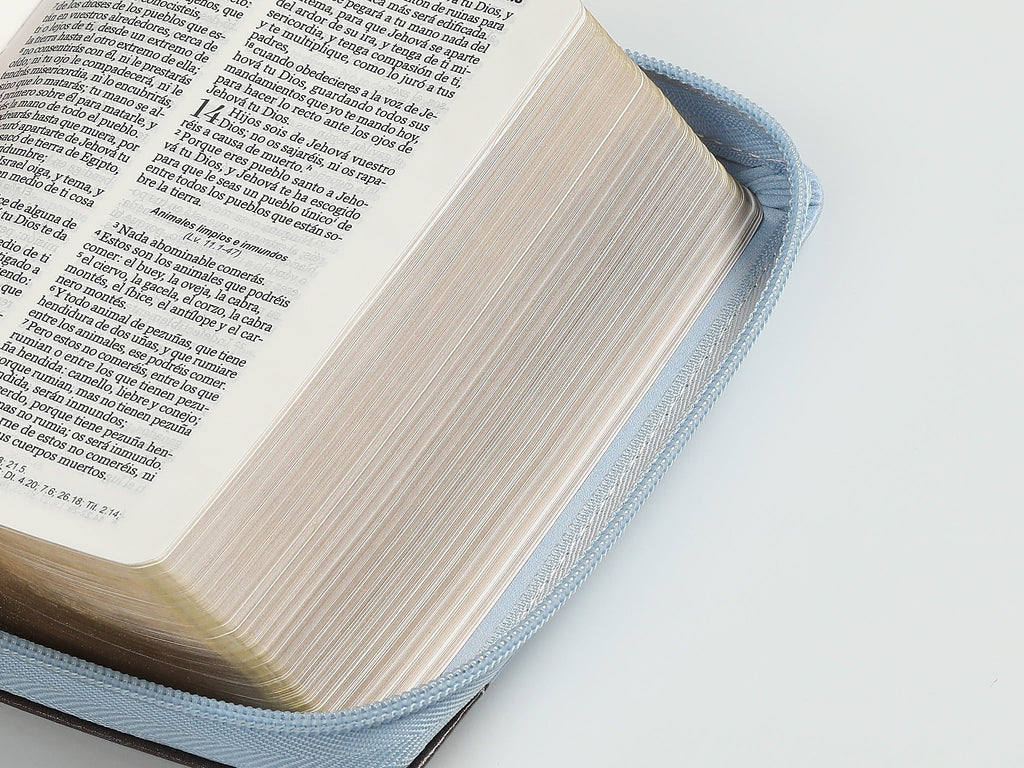 Biblia RVR60 de bolsillo Primor Café