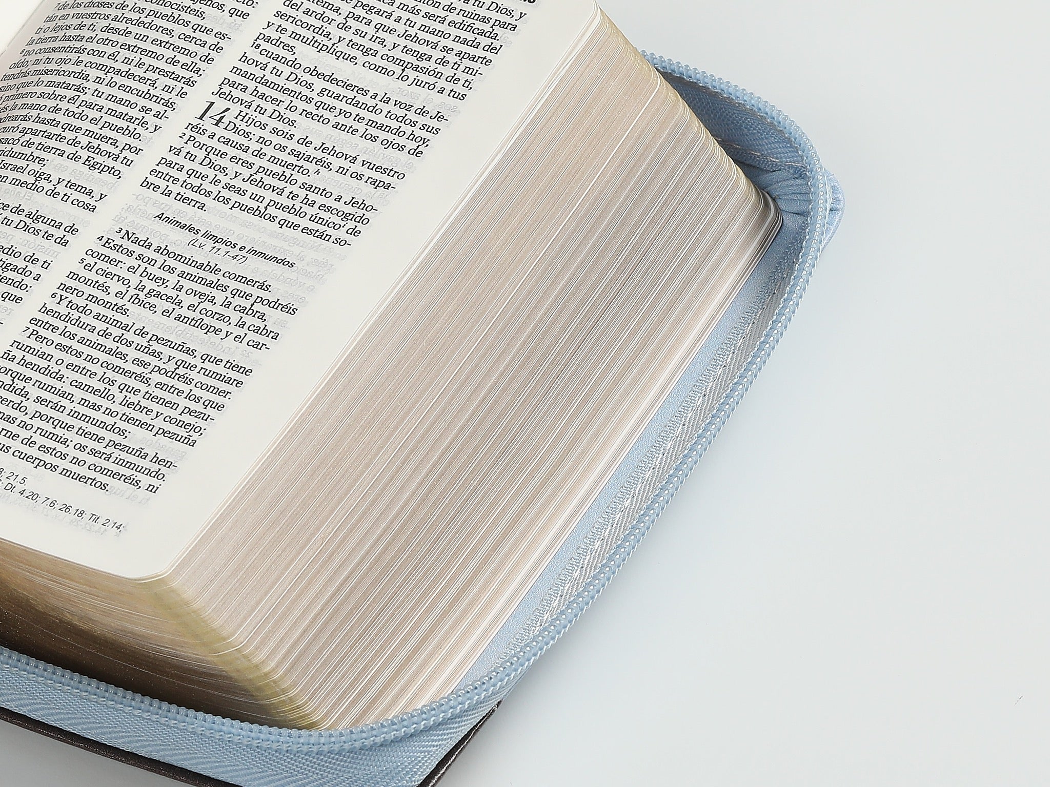 Biblia RVR60 de bolsillo Primor Café