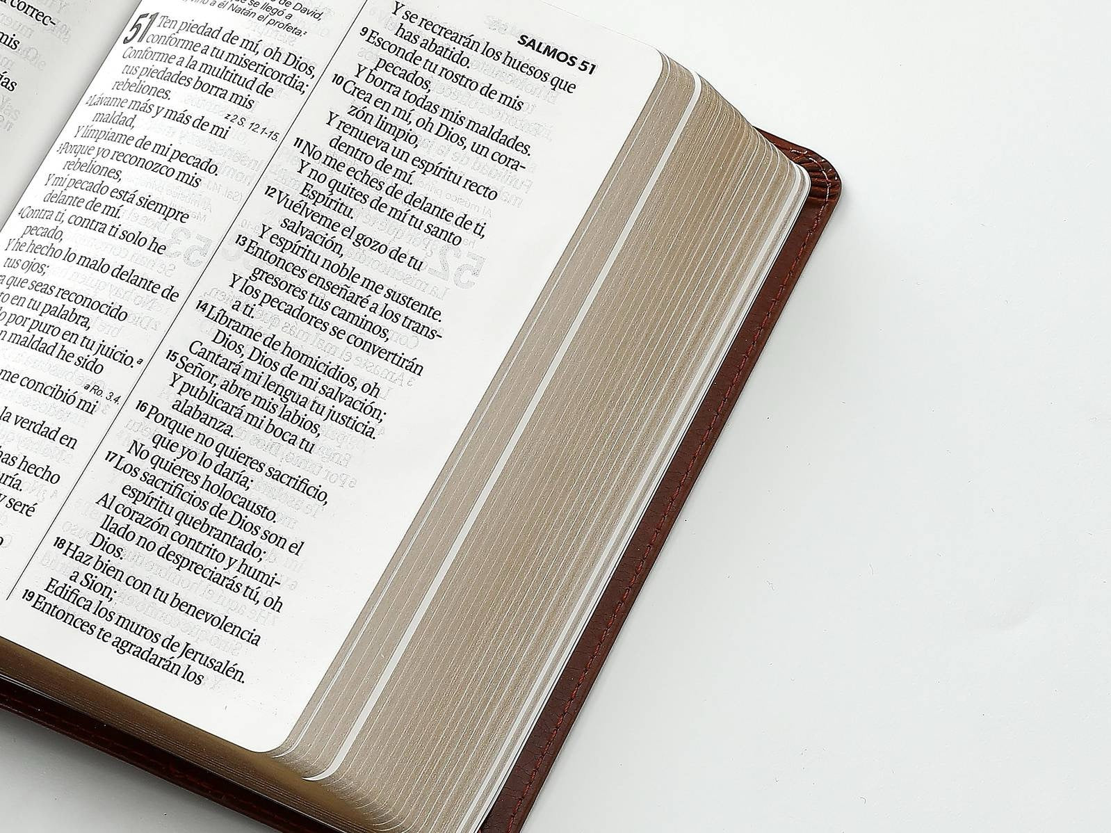 Biblia RVR60 tamaño compacto Letra Grande café