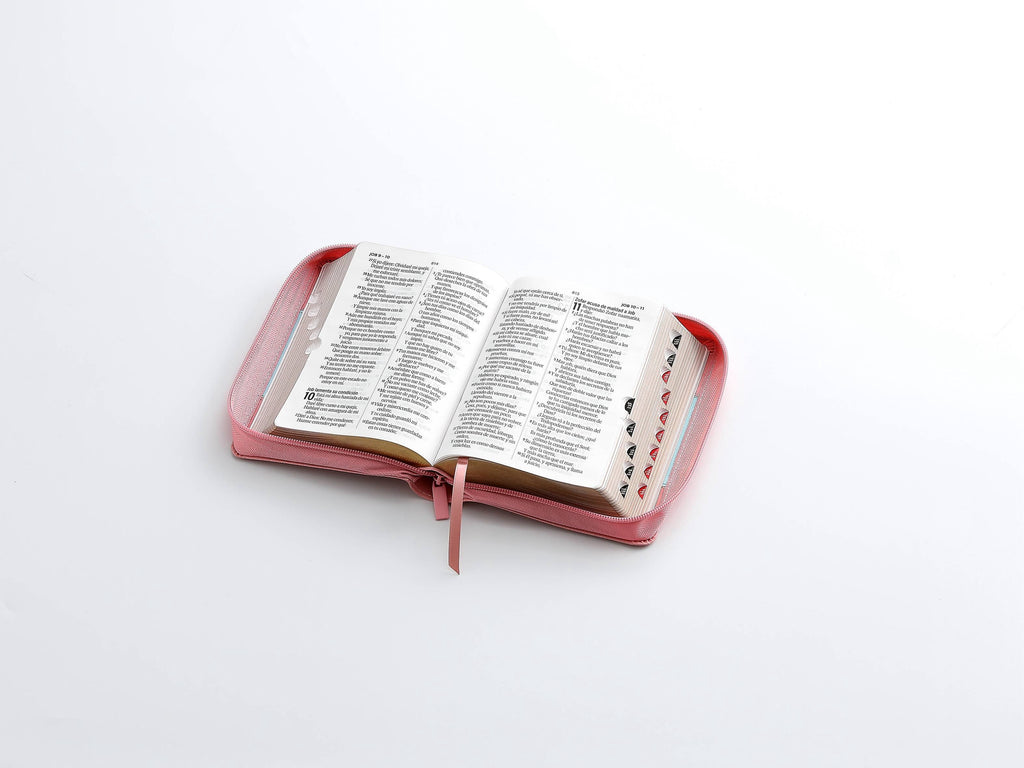 Biblia RVR60 Tamaño Compacto Letra Grande 12 puntos rosa