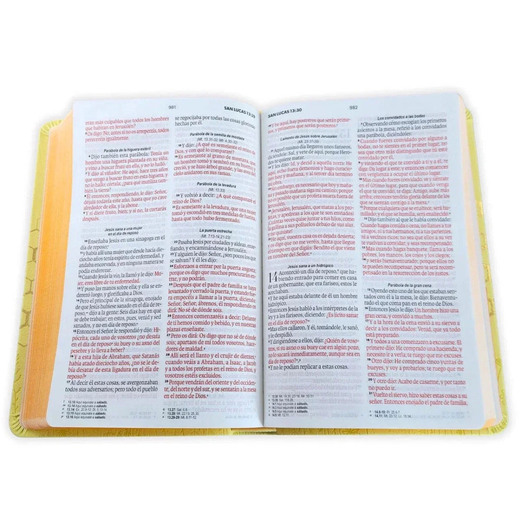 Biblia RVR60 Obsequios y premios AMARILLO