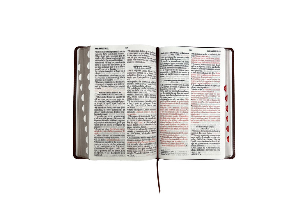 Biblia RVR60 Tamaño Manual Letra Grande indice café