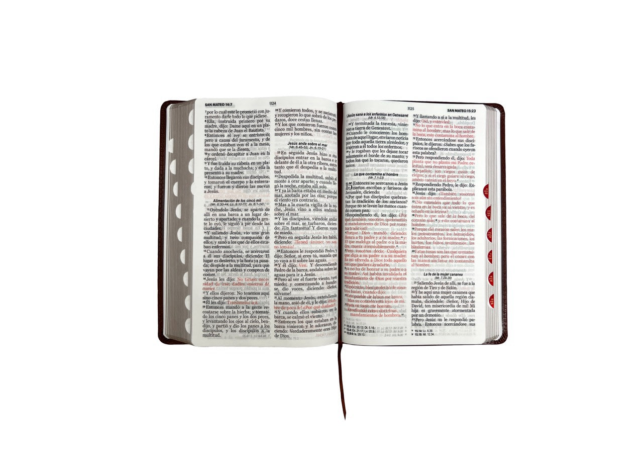 Biblia RVR60 Tamaño Manual Letra Grande indice café