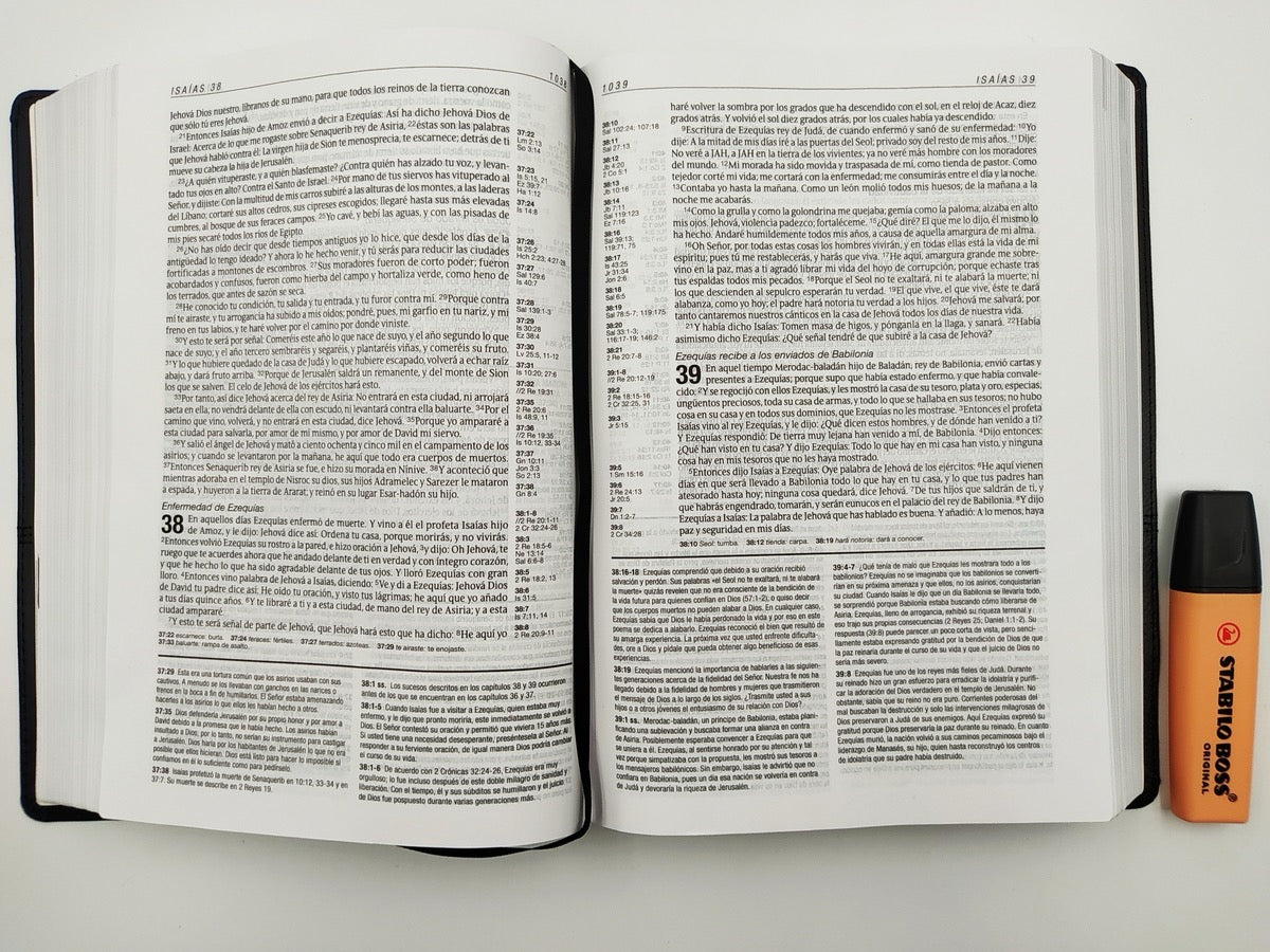 Biblia de estudio diario vivir RVR60 Piel fabricada negra