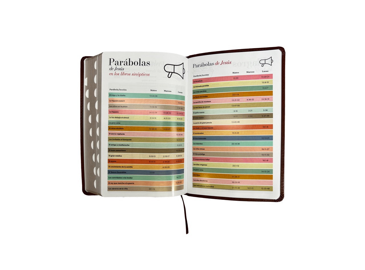 Biblia RVR60 Tamaño Manual Letra Grande indice café