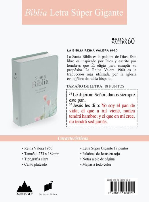 Biblia RVR 1960 Letra Súper Gigante Símil Piel Menta Fresca