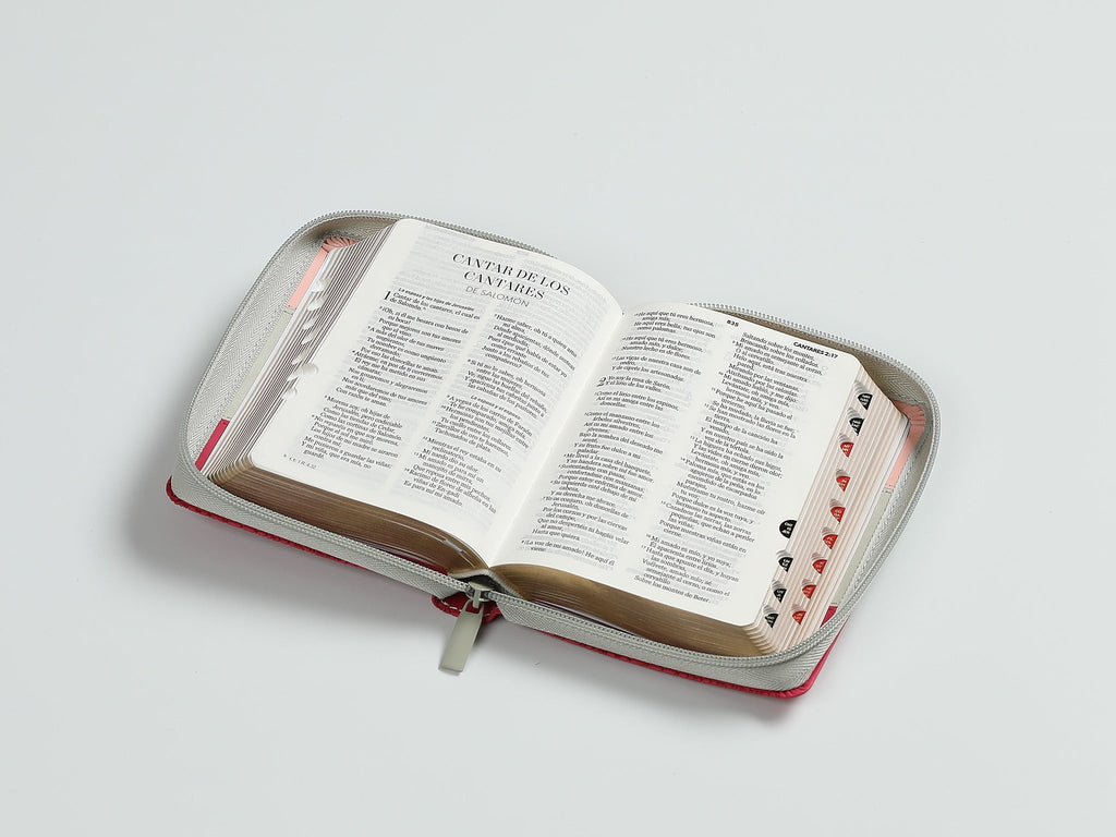 Biblia RVR60 Bolsillo i/piel Tricolor Rosa