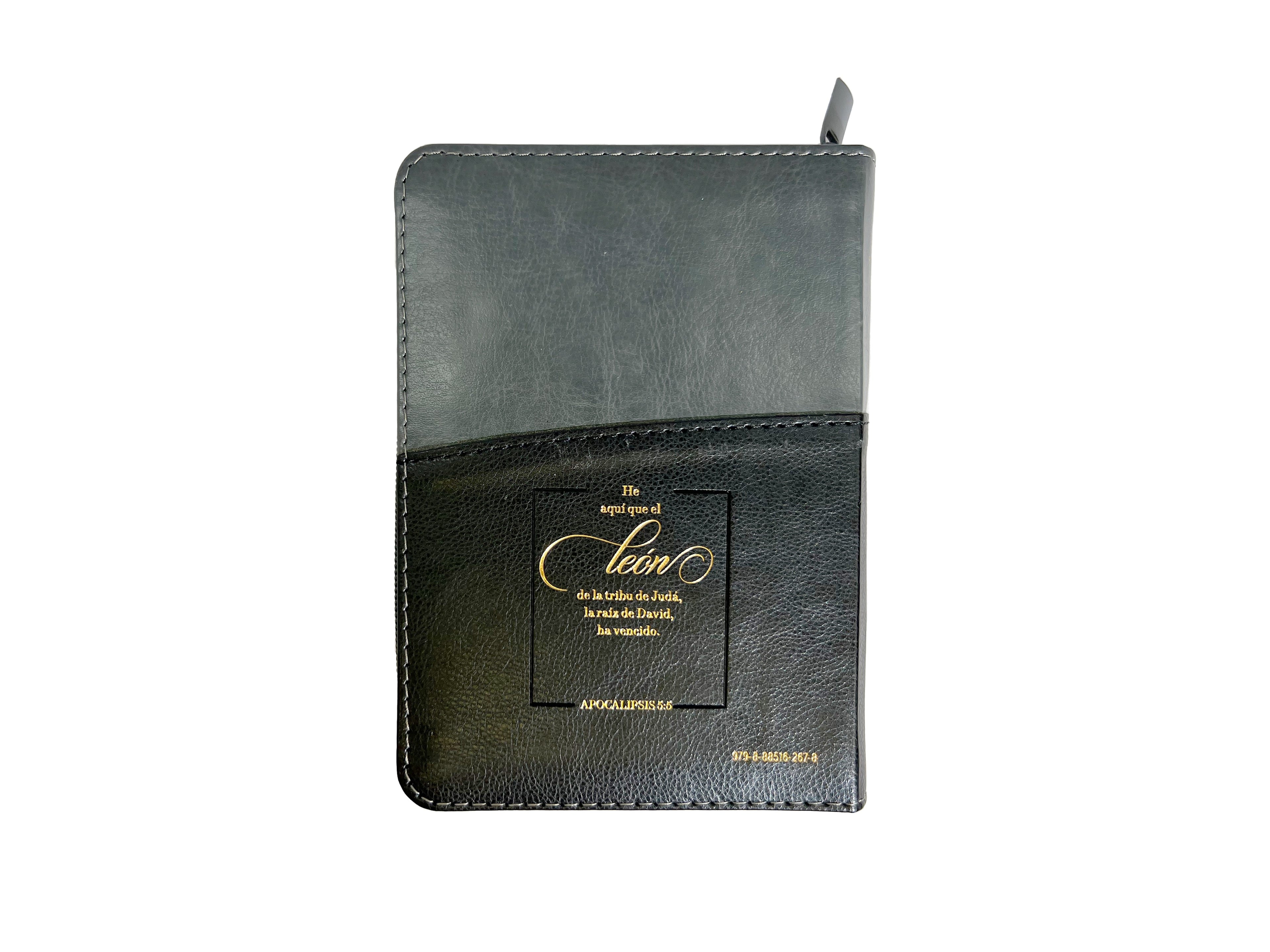 Biblia RVR60 bolsillo Expressión Negro