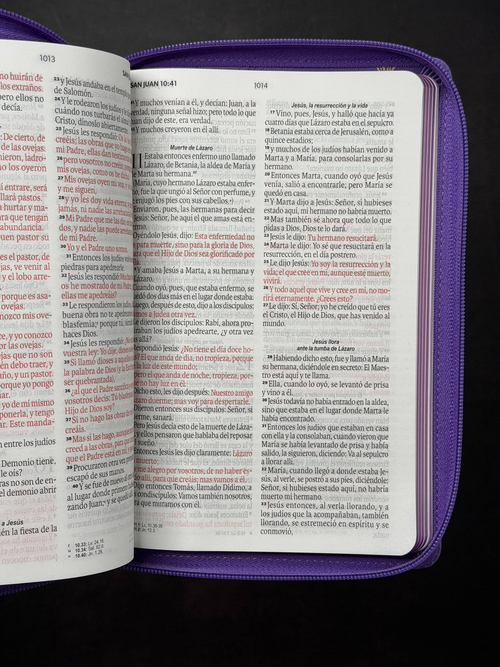 Biblia RVR60 de Obsequios y premios Morado con flor dorada con cierre
