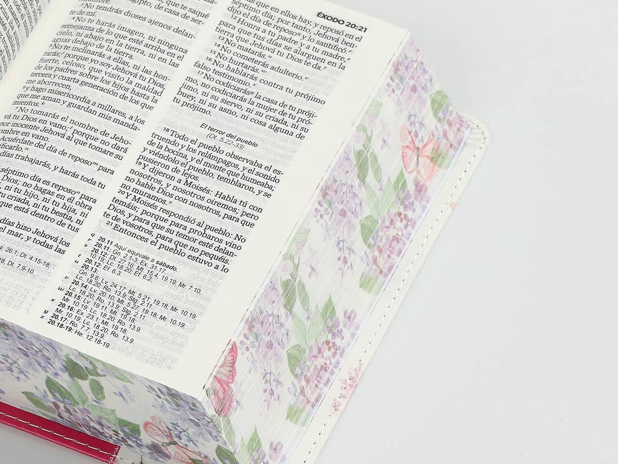 Biblia RVR60 bolsillo rosa