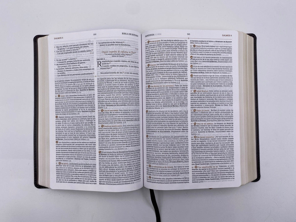 Biblia de Estudio Patrística café