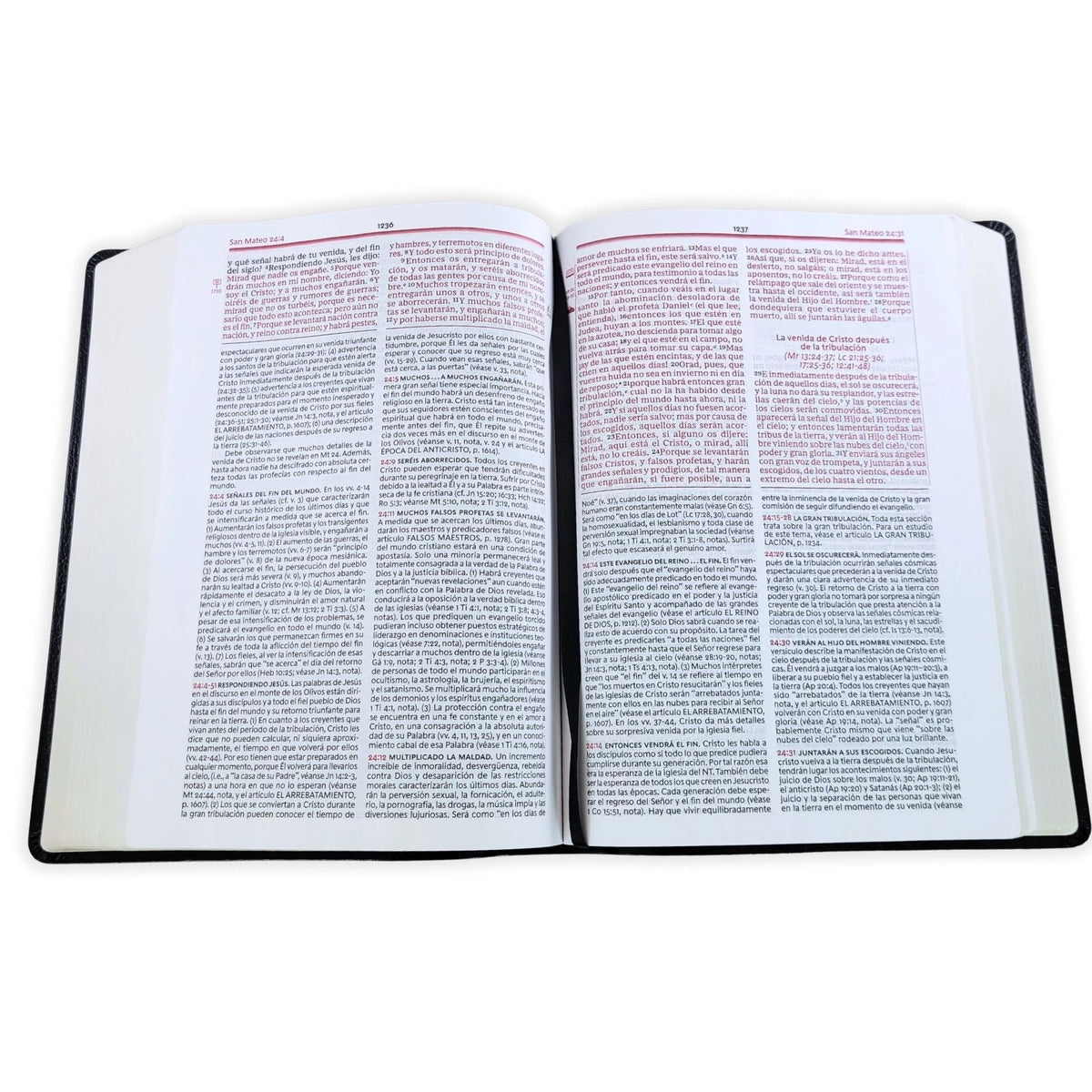 Biblia RVR 1960 de Estudio de la Vida Plena Piel Fabricada Negro