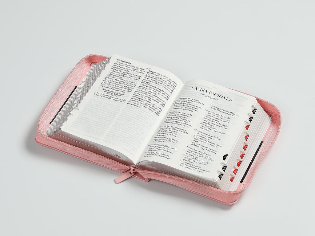 Biblia RVR60 portátil Letra Grande 11 puntos con Rosa