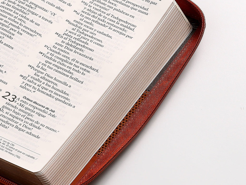 Biblia NVI Peninsular tamaño manual letra grande Tricolor café