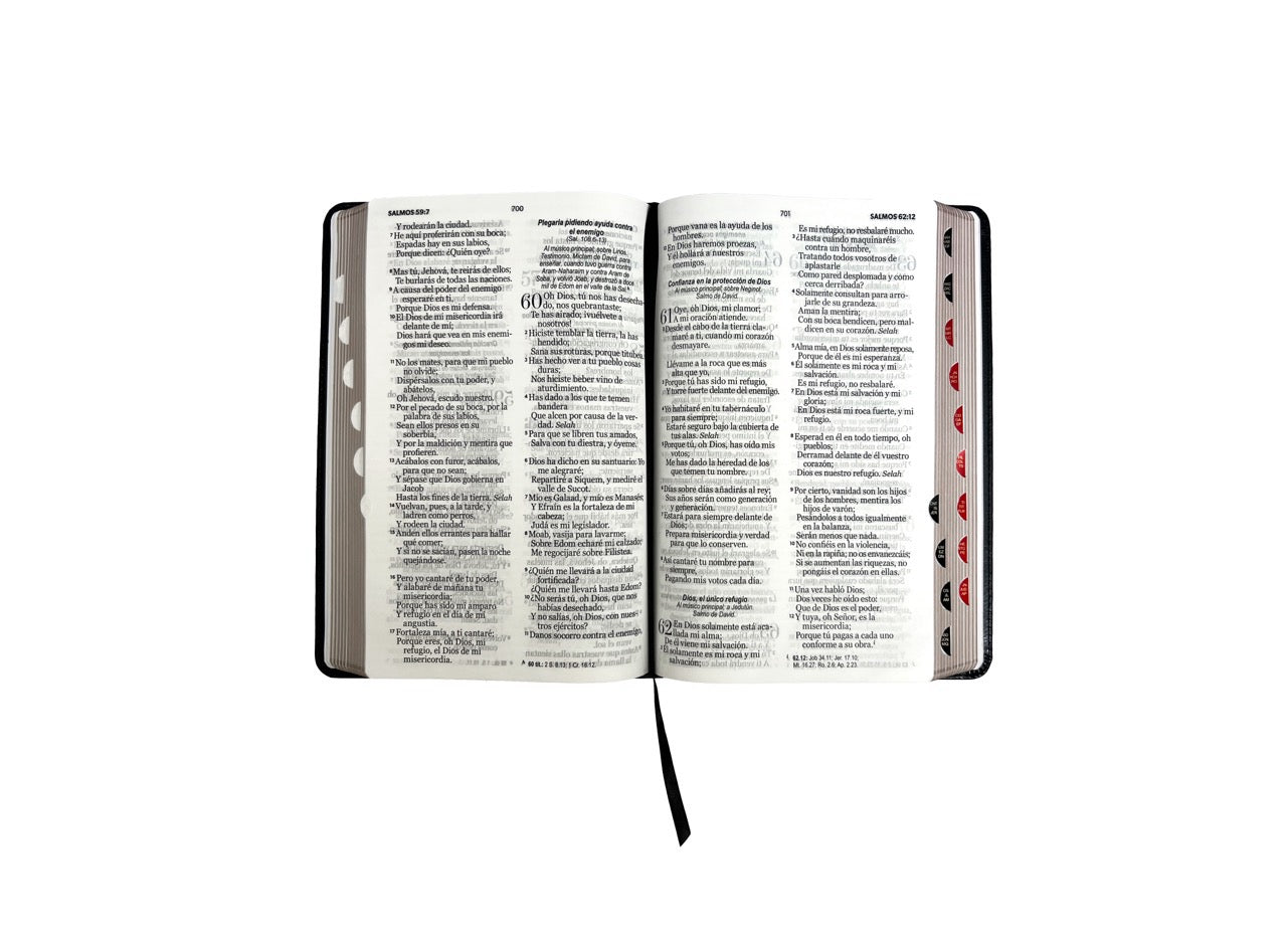 Biblia RVR60 Tamaño Manual Letra Grande indice negro