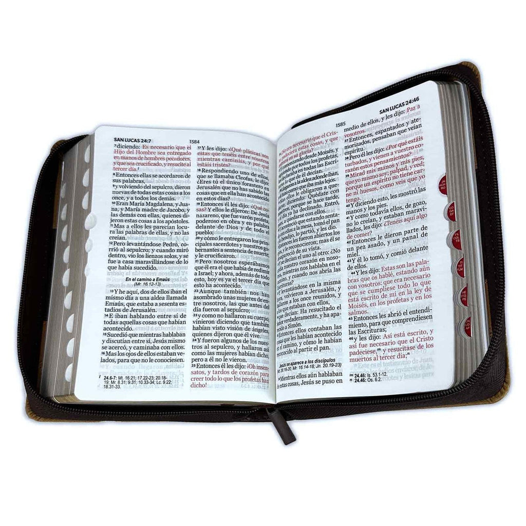 Biblia RVR60 Tamaño portátil Letra Grande 11 puntos tricolor