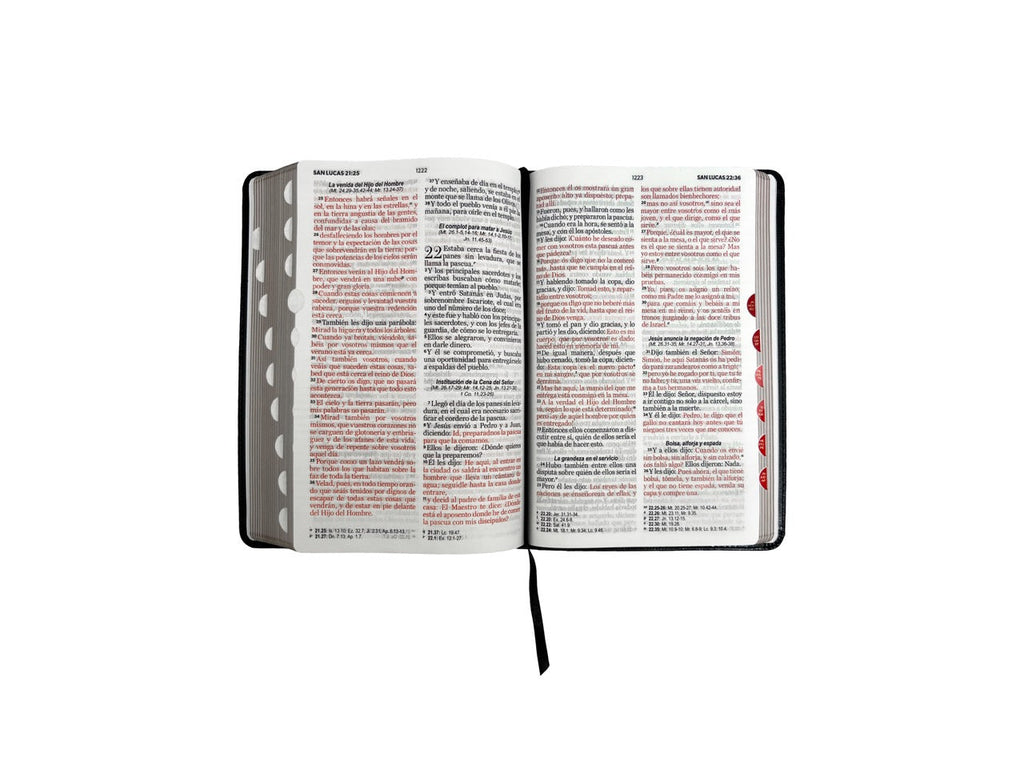 Biblia RVR60 Tamaño Manual Letra Grande indice negro