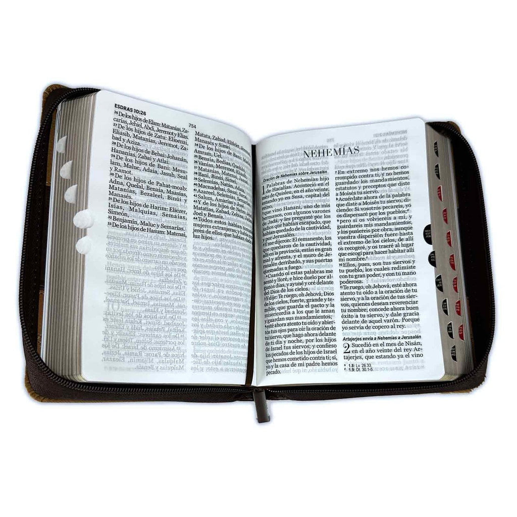 Biblia RVR60 Tamaño portátil Letra Grande 11 puntos tricolor