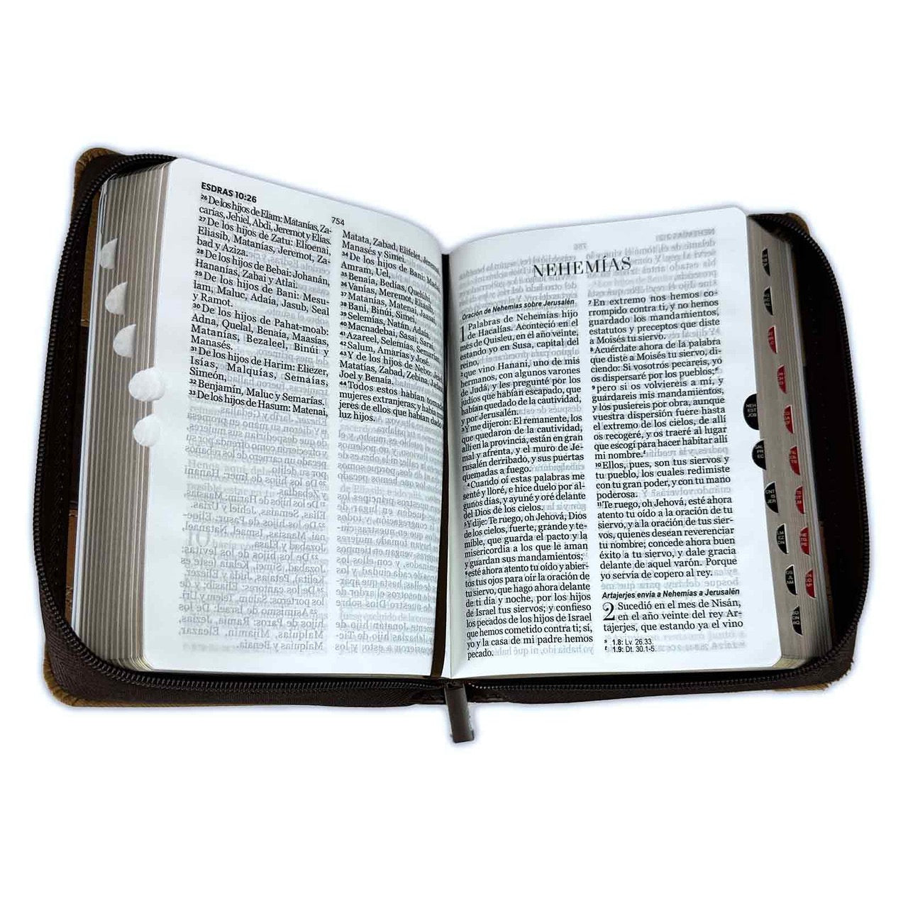 Biblia RVR60 Tamaño portátil Letra Grande 11 puntos tricolor