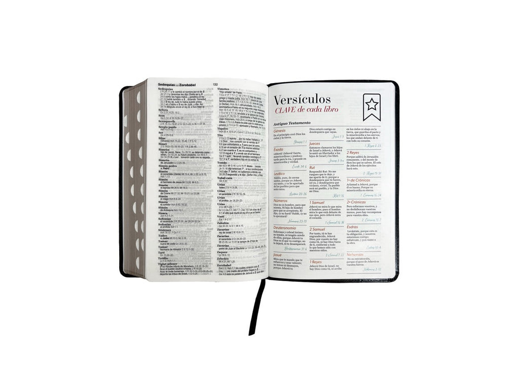 Biblia RVR60 Tamaño Manual Letra Grande indice negro