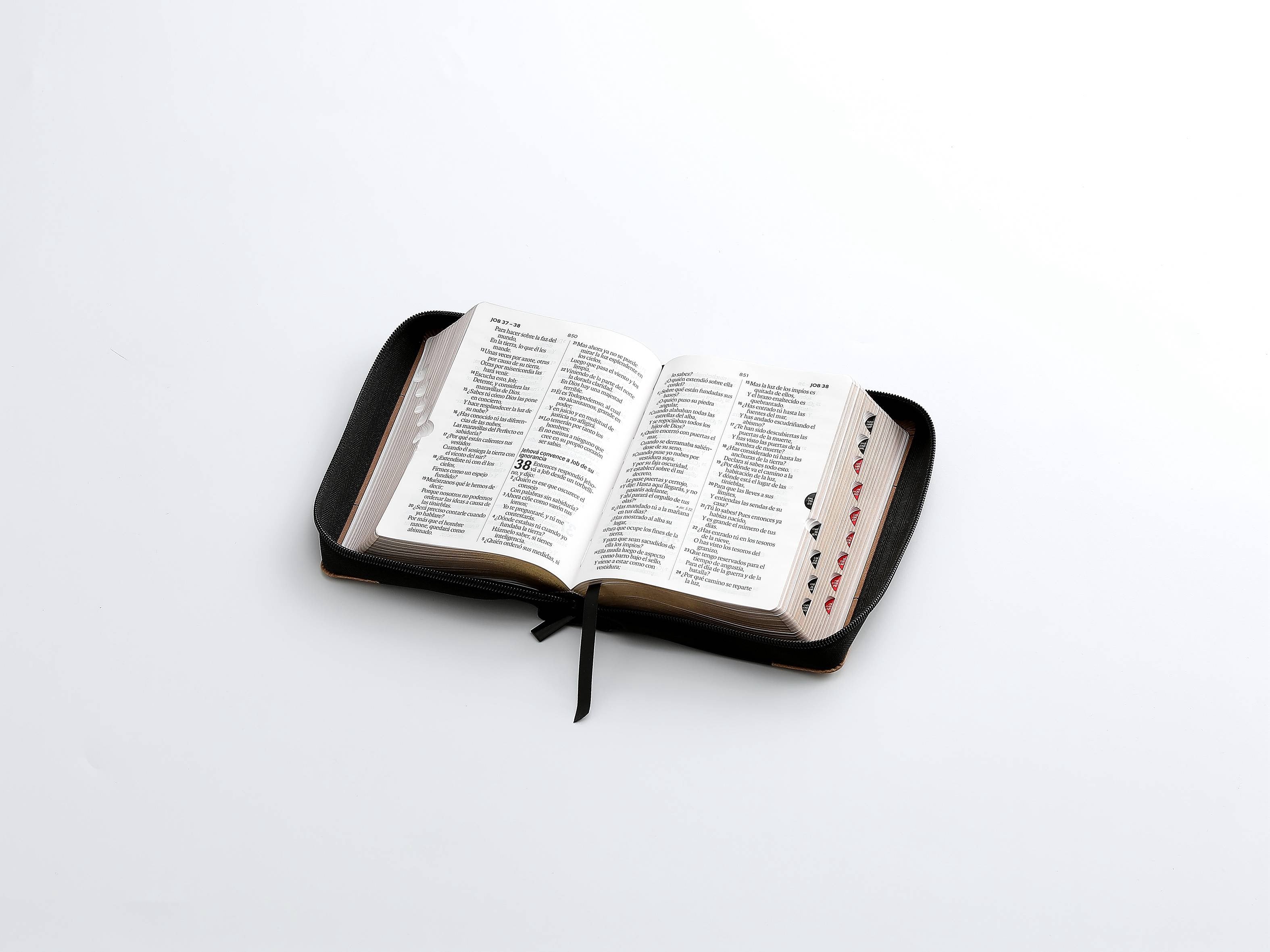 Biblia RVR60 Tamaño compacto Letra Grande 12 puntos con cierre
