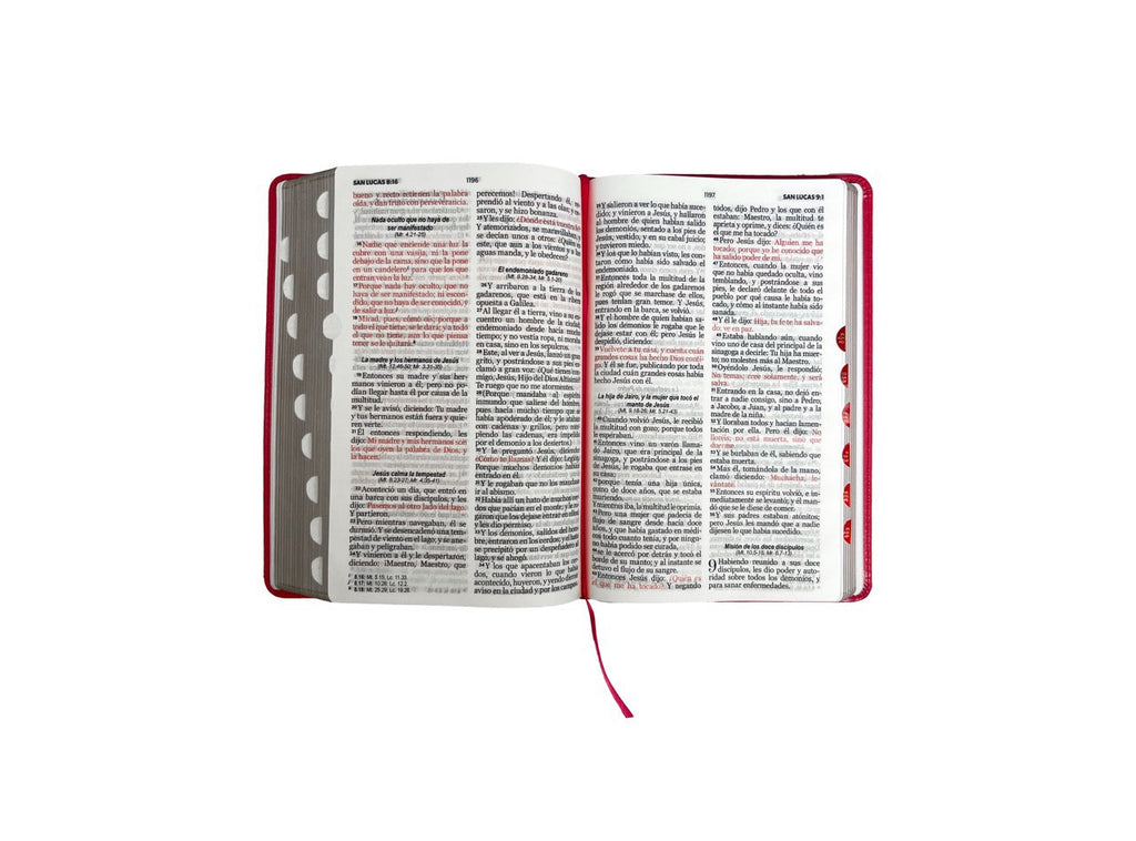 Biblia RVR60 Tamaño Manual Letra Grande fucsia