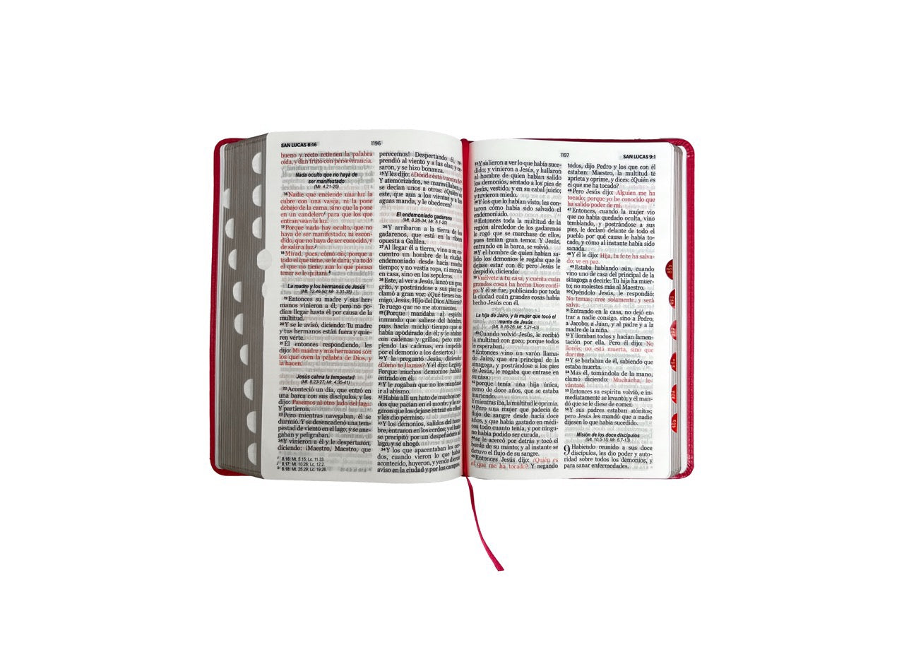 Biblia RVR60 Tamaño Manual Letra Grande fucsia